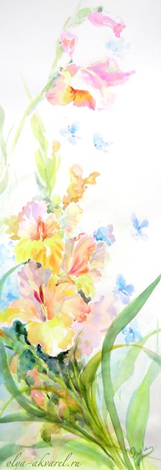 гладиолусы цветы в картинах живопись акварелью купить у художника Цурина Ольга