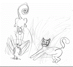 Цурина Стеша. Деревенские коты набрасываются на маленького беззащитного совенка, графический рисунок
