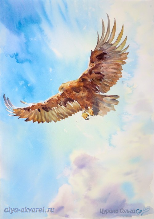 акварель картина тетем беркут птицы  небо художник купить живопись