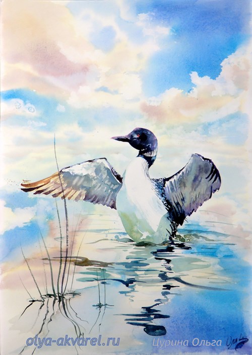 картина акварель акварельный живопись гагара вода озеро весна купить продажа