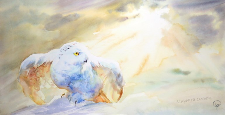 белая сова символ долголетия и силы картина акварелью Ольга Цурина