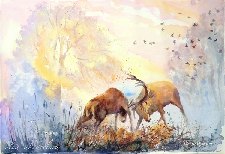 осень олени купить картину акварель живопись художник Ольга Цурина
