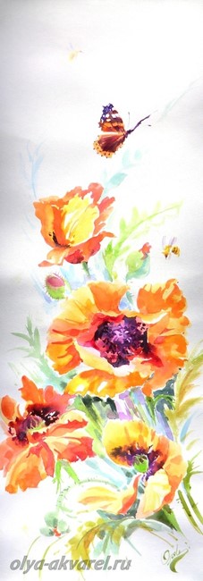 МАКИ цветы живопись акварель купить картину у художника Цурина Ольга