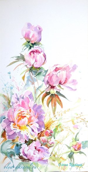 пионы цветы лето в акварельной живописи купить картину Цурина Ольга