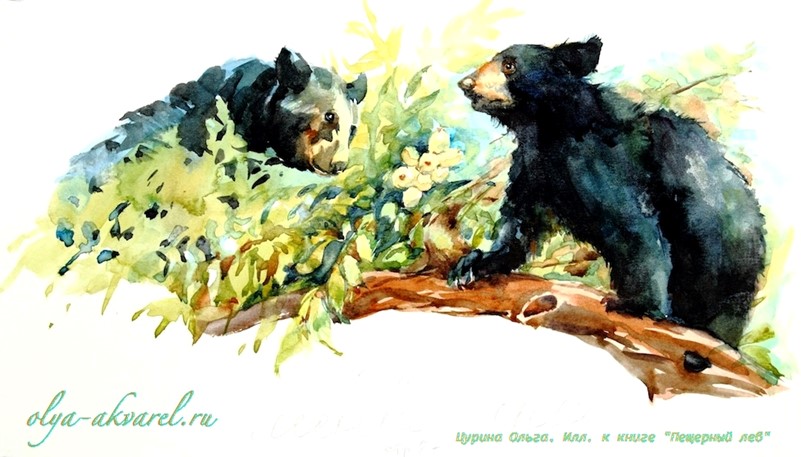 медведи барибалы иллюстрации Пещерный лев Рони Старший, художник Цурина Ольга,  акварель