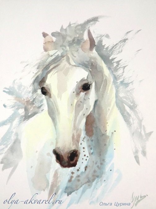 Белая лошадь  рисунок акварелью