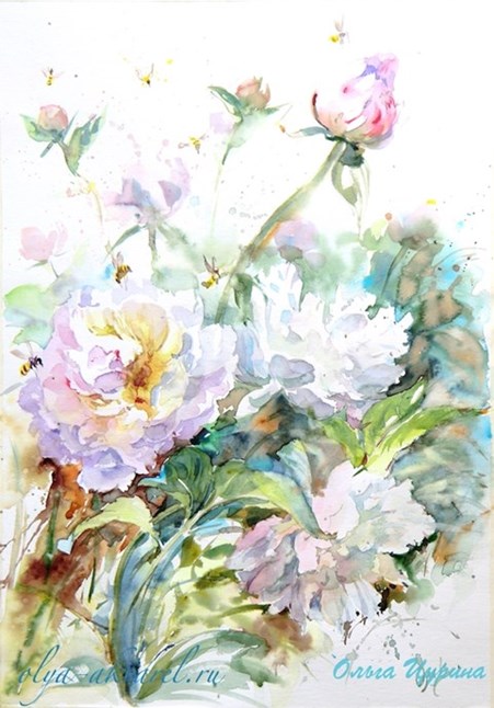 ПИОНЫ цветы в акварельной живописи купить картину Цурина Ольга