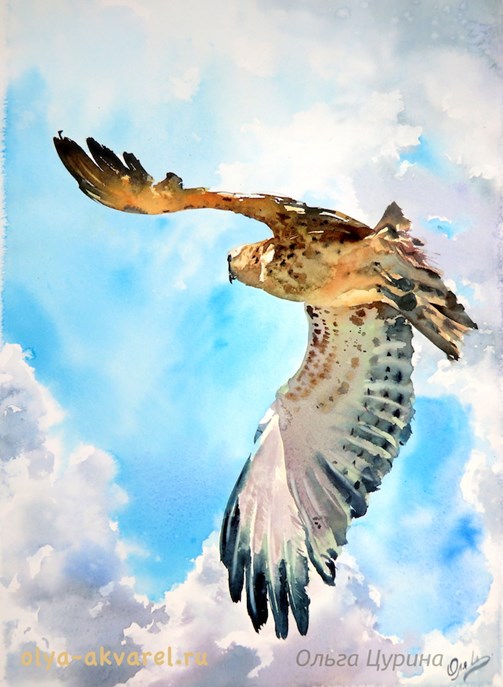 орел-змееяд акварельная картина художник красная книга птицы