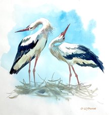 «И вот однажды ранней весной прилетел и уселся на него аист. Он долго что-то осматривал, неуклюже переступая на своих длинных ногах по толстому суку. Потом улетел. А на следующее утро мы увидели, что на дереве хлопотали уже два аиста. Они устраивали гнездо.» (Г. Скребицкий «Аистята»)