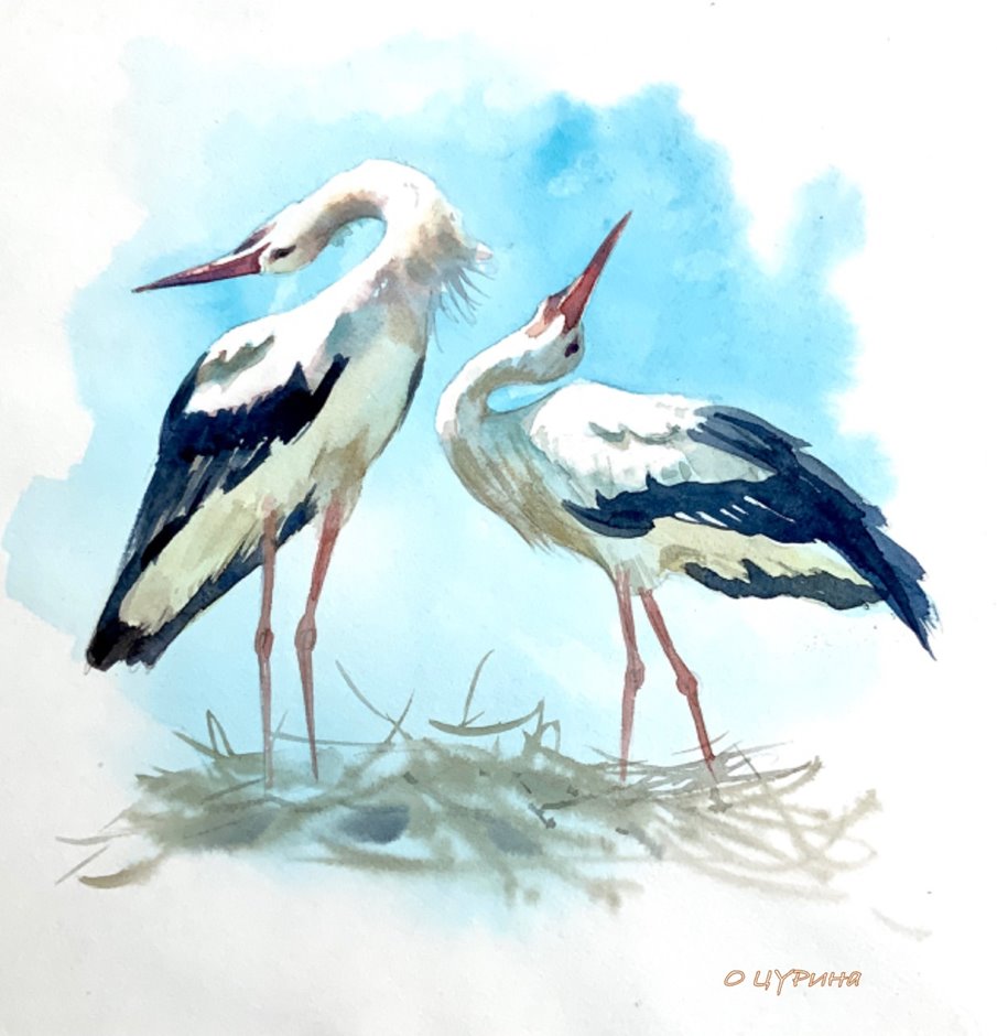 «И вот однажды ранней весной прилетел и уселся на него аист. Он долго что-то осматривал, неуклюже переступая на своих длинных ногах по толстому суку. Потом улетел. А на следующее утро мы увидели, что на дереве хлопотали уже два аиста. Они устраивали гнездо.» (Г. Скребицкий «Аистята»)