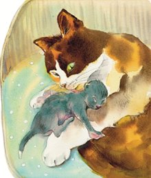 Тоська вылизывает котенка