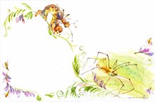 Муравьишка еде на гусенице землемере и паук сенокосец