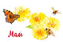 Одуванчики. Спуск к главе Май