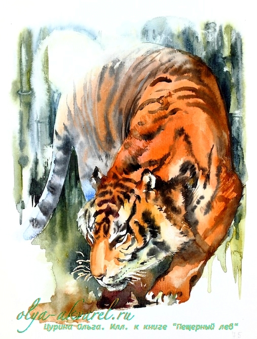 Цурина Ольга иллюстрации к книге Пещерный лев тигр огонь
