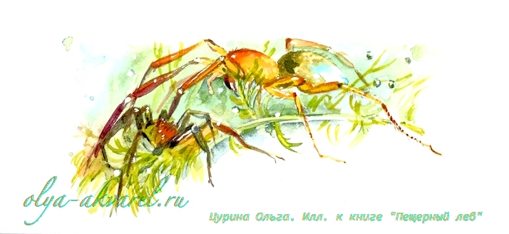  пауки иллюстрации Пещерный лев Рони Старший, художник Цурина Ольга,  акварель