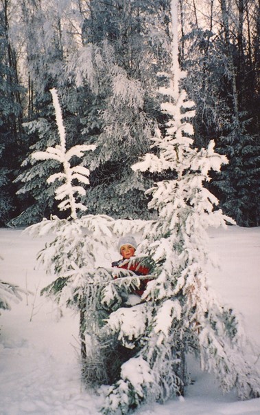Зима, Пушкинские Горы, лес